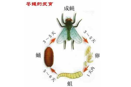 莲花冬季四害清理协会方便客商