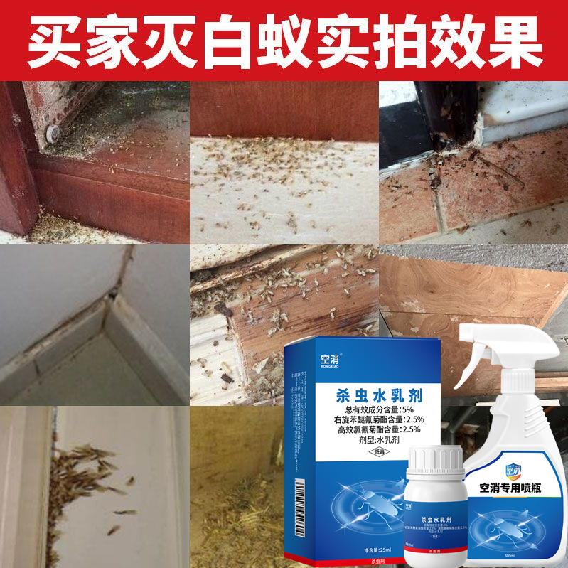 虫子竟然卖到3000元一斤?比广东人更可怕的浙江人来了!