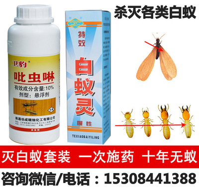 长沙灭白蚁药,杀白蚁用什么药,治白蚁药,防白蚁药,灭白蚁的药尽在奥亚白蚁防治所