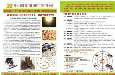 白蚁宣传图片素材
