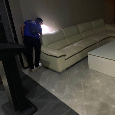 工厂白蚁防治服务 白蚁预防 安全无味效果好