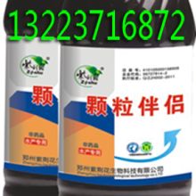 揭阳海顺白蚁虫害防治站