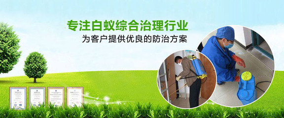 梧州市岭南白蚁防治研究所