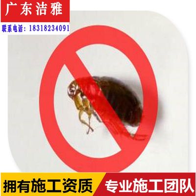 清新县白蚁预防治中心 清远清新县工厂除四害抓老鼠蚂蚁蟑螂害虫公司